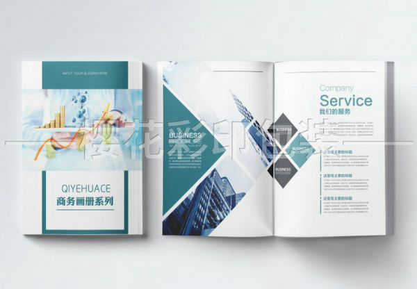 企業(yè)畫冊(cè)樣本